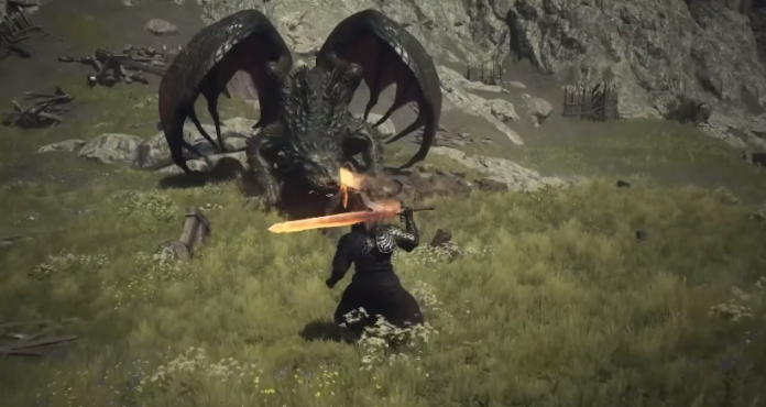 Dragons Dogma 2 Drake Respawn