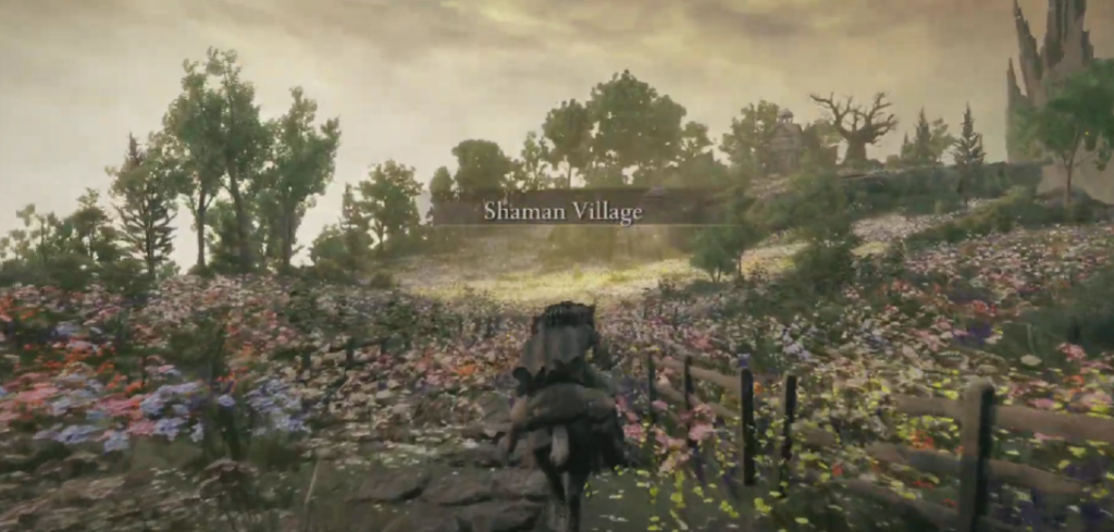 Shaman Village in elden ring