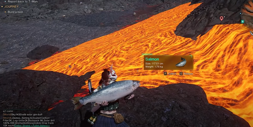 Salmon Fish