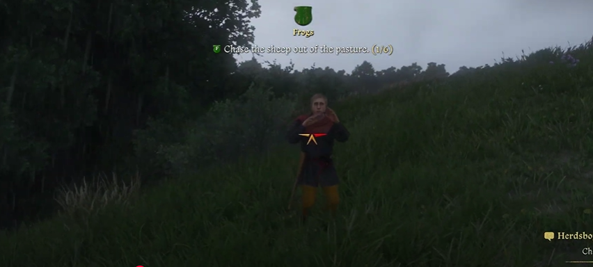 Pasture In Kingdom Come Deliverance 2