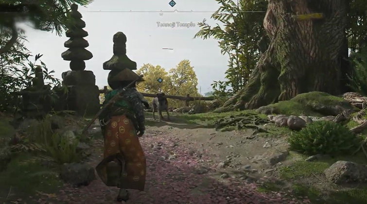 approach the dog