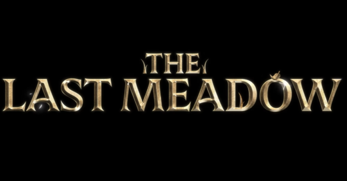 the last meadow on discord