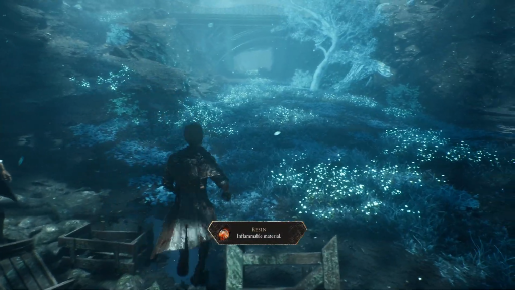 resin location expedition 33