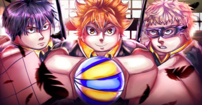 Volleyball Ascended codes