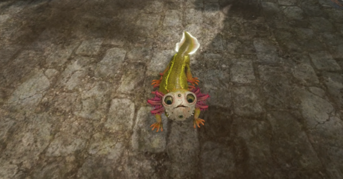 How To Get The Pet 