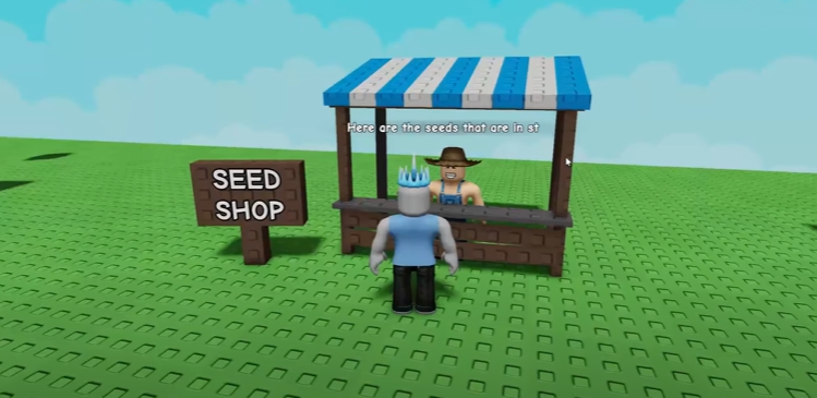 cacao seed shop