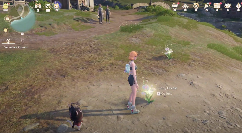 sunny orchird in infinity nikki 