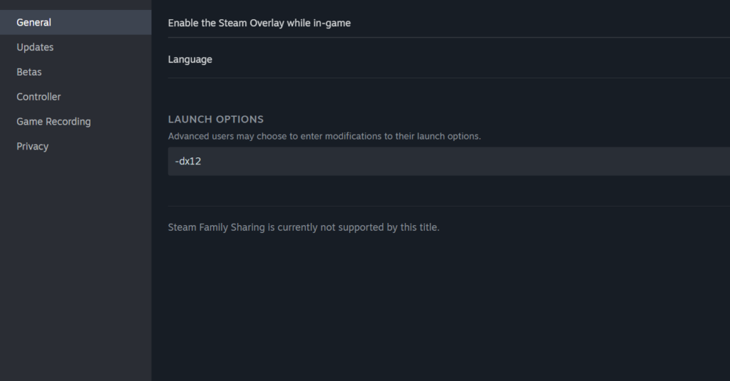 launch options 