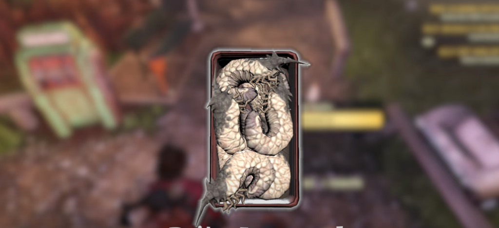 Improved bait fallout 76