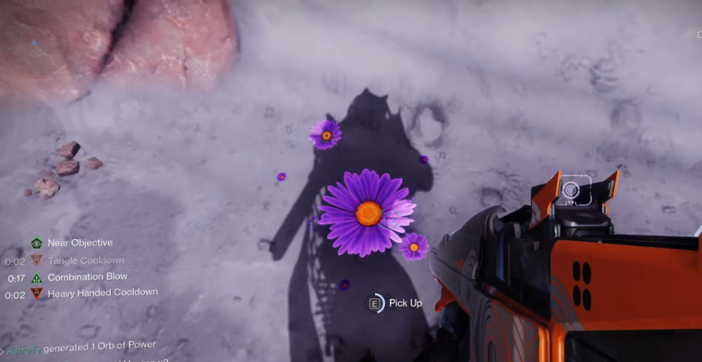 flower in destiny 2