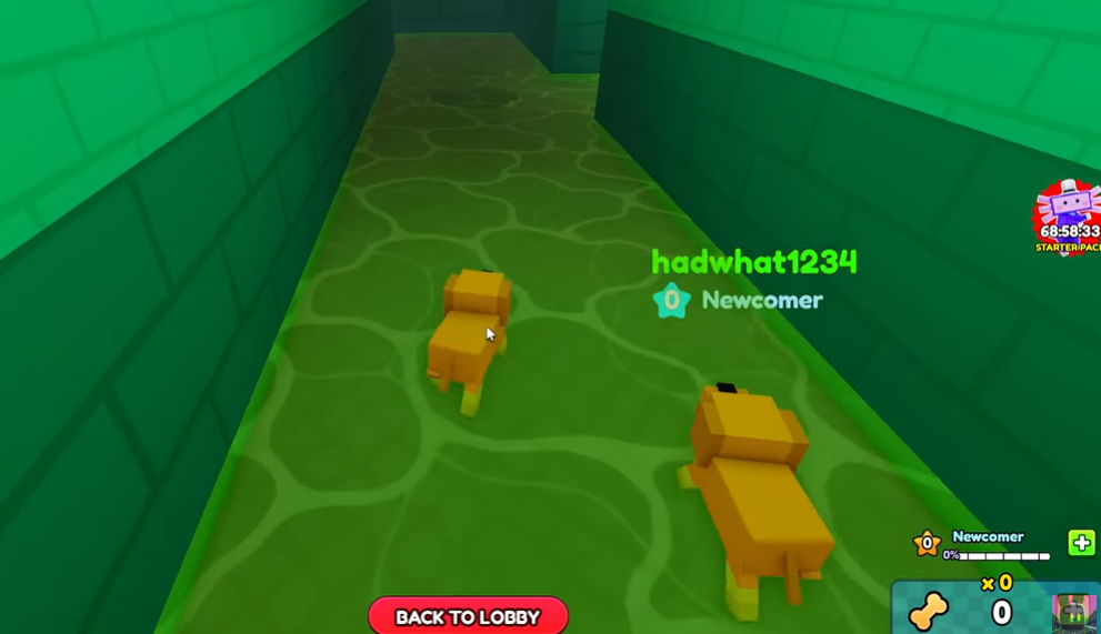 The Hatch Pet Story