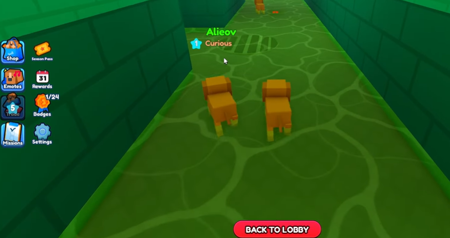 The Hatch Pet Story